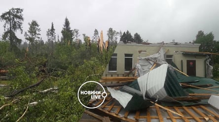 В Беларуси пронесся мощный ураган: повредил авто и уничтожил лес. Фото, видео - 285x160