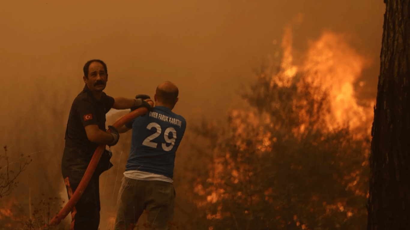 Пожежі в Туреччині — як виглядають місцеві ландшафти після масштабних пожеж