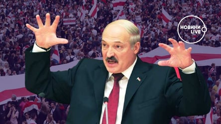 "Жить в Беларуси стало невыносимо": как активисты и журналисты бегут от режима Лукашенко - 285x160