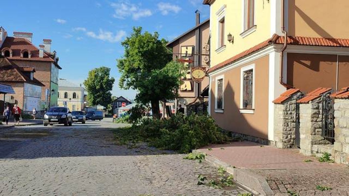 Непогода в Каменец-Подольском повалила деревья и наделала беды