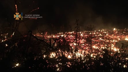 3 часа героической борьбы с масштабным огнем: к Харькову подбираются масштабные пожары - 285x160