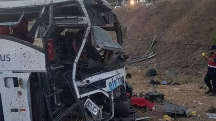 В Туреччині перекинувся пасажирський автобус: щонайменше 14 осіб загинуло - 285x160