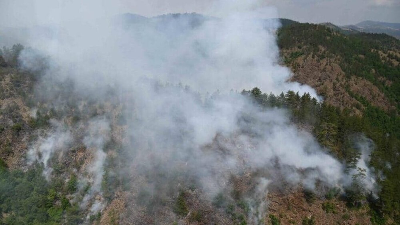 Лесной пожар в Черногории — подробности ЧП
