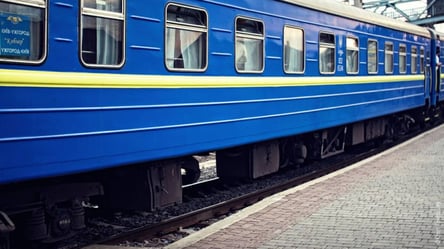 В поезде "Укрзализныци" пьяный пассажир терроризировал попутчиц: полиция и проводники не помогли - 285x160