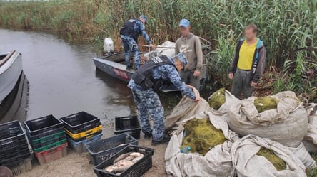 Делили добычу в камыше: в Одесской области пограничники задержали браконьеров - 285x160