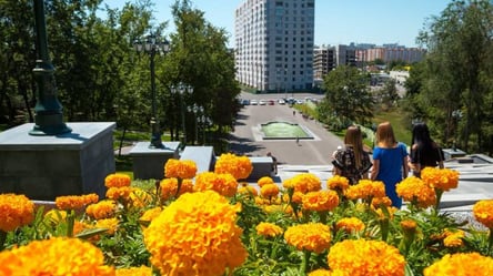 До 29 градусов жары и без осадков: прогноз погоды в Харькове на 13 августа - 285x160
