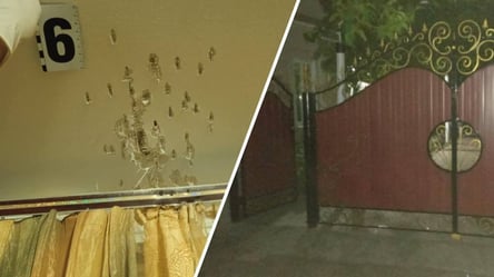 Попередив непроханих гостей: на Одещині зловмисники намагалися пограбувати чоловіка - 285x160