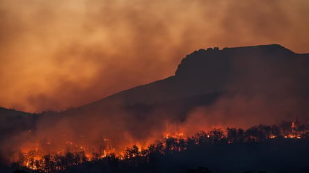 В Италии близ Рима не утихает масштабный лесной пожар: людей начали эвакуировать - 285x160