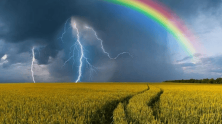 Дощитиме лише на Сході: прогноз погоди на 14 серпня в Україні - 285x160