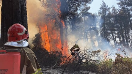 В Україні попередили про пожежну небезпеку: коли та в яких областях - 285x160