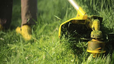 Останній покіс газону восени — якщо пропустиш, трава постраждає - 285x160