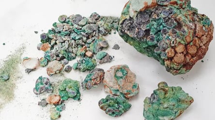 На пляже в Израиле нашли древние монеты, которым более 1700 лет. Фото - 285x160
