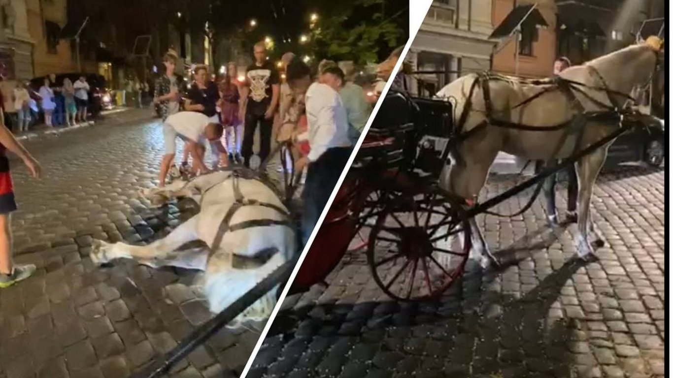 В Одессе мужчина жестоко обращался с лошадью, которая упала и травмировалась