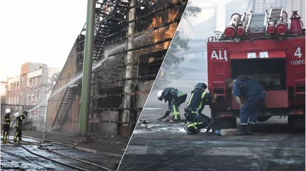 Спасли 30 тысяч тонн зерна: в Одессе тушили масштабный пожар на складе. Фото - 285x160