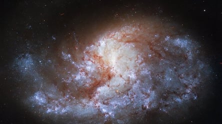 Удивительное фото из космоса: телескоп сфотографировал спиральную галактику в "сердце" созвездия Печь - 285x160