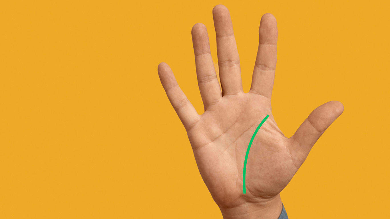 Що означають лінії на руці