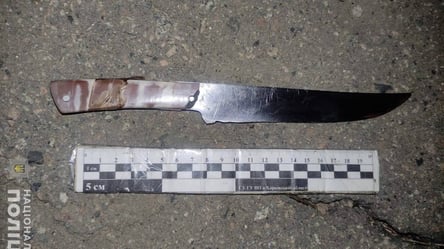 У Харкові жінка напала на свого співмешканця з ножем і вдарила його в спину - 285x160