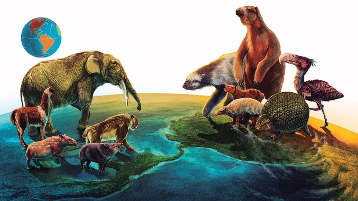Ученые обнаружили, что эволюция млекопитающих происходила иначе