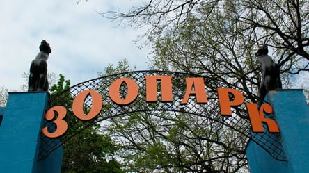 "Не самый дорогой в мире": чиновники озвучили стоимость реконструкции Харьковского зоопарка - 285x160