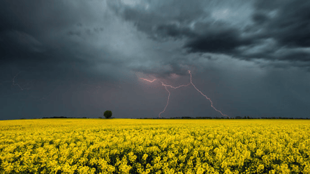 Жара и дожди на Востоке: прогноз погоды на 20 августа в Украине - 285x160