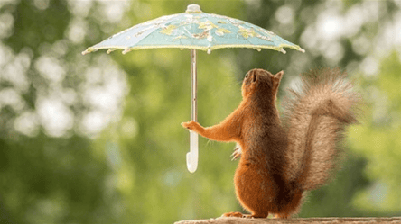 Опади не очікуються: погода в Одесі 25 серпня - 285x160