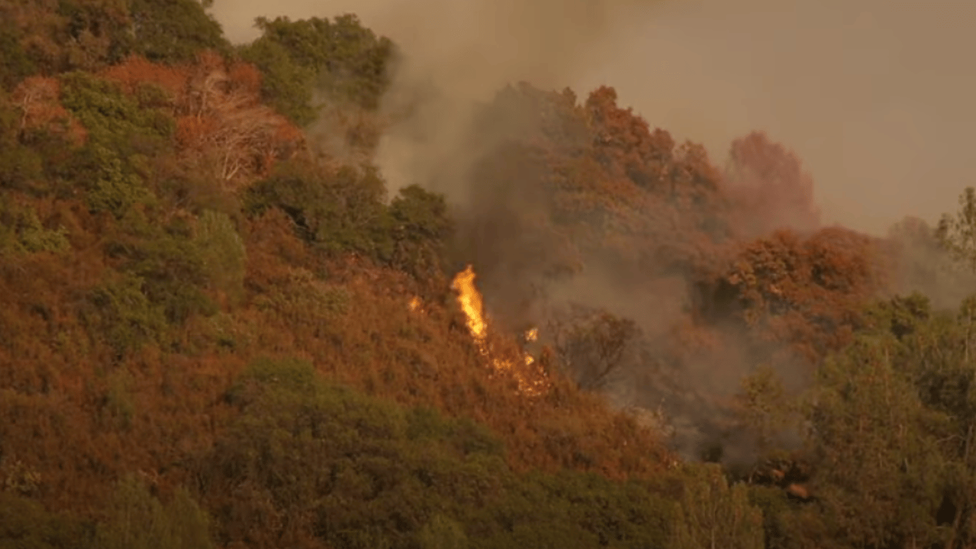 Лесные пожары в Калифорнии - огонь распространяется очень быстро
