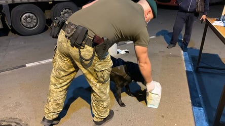 Мешочек на 3 кг: на Харьковщине пограничники задержали курьера с "интересными" веществами. Фото - 285x160