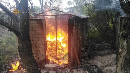 Сгорел заживо на даче: спасатели нашли мертвого мужчину во время пожара на Харьковщине. Фото - 285x160