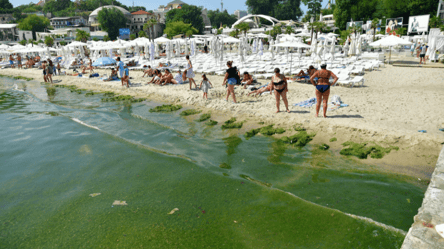 Средства гигиены в воде и пляже завалены водорослями: одесский эколог показал, как выглядит Аркадия после ливня. Фото - 285x160