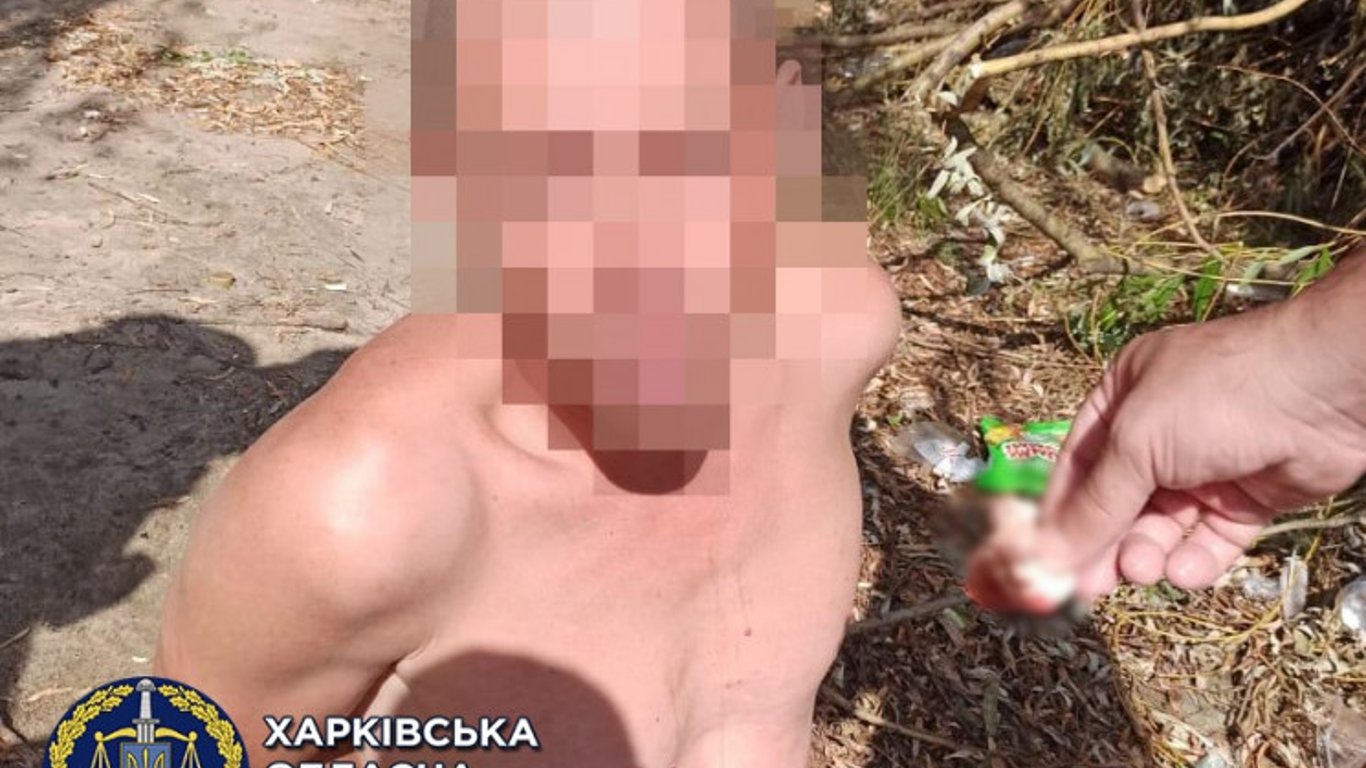 Мужчину будут судить за развратные действия по отношению к ребенку в Харькове