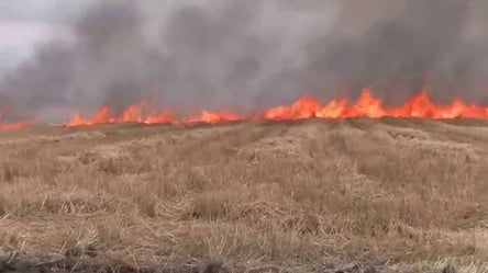 Спалювання трави призвело до пожежі: на Одещині горить поле - 285x160