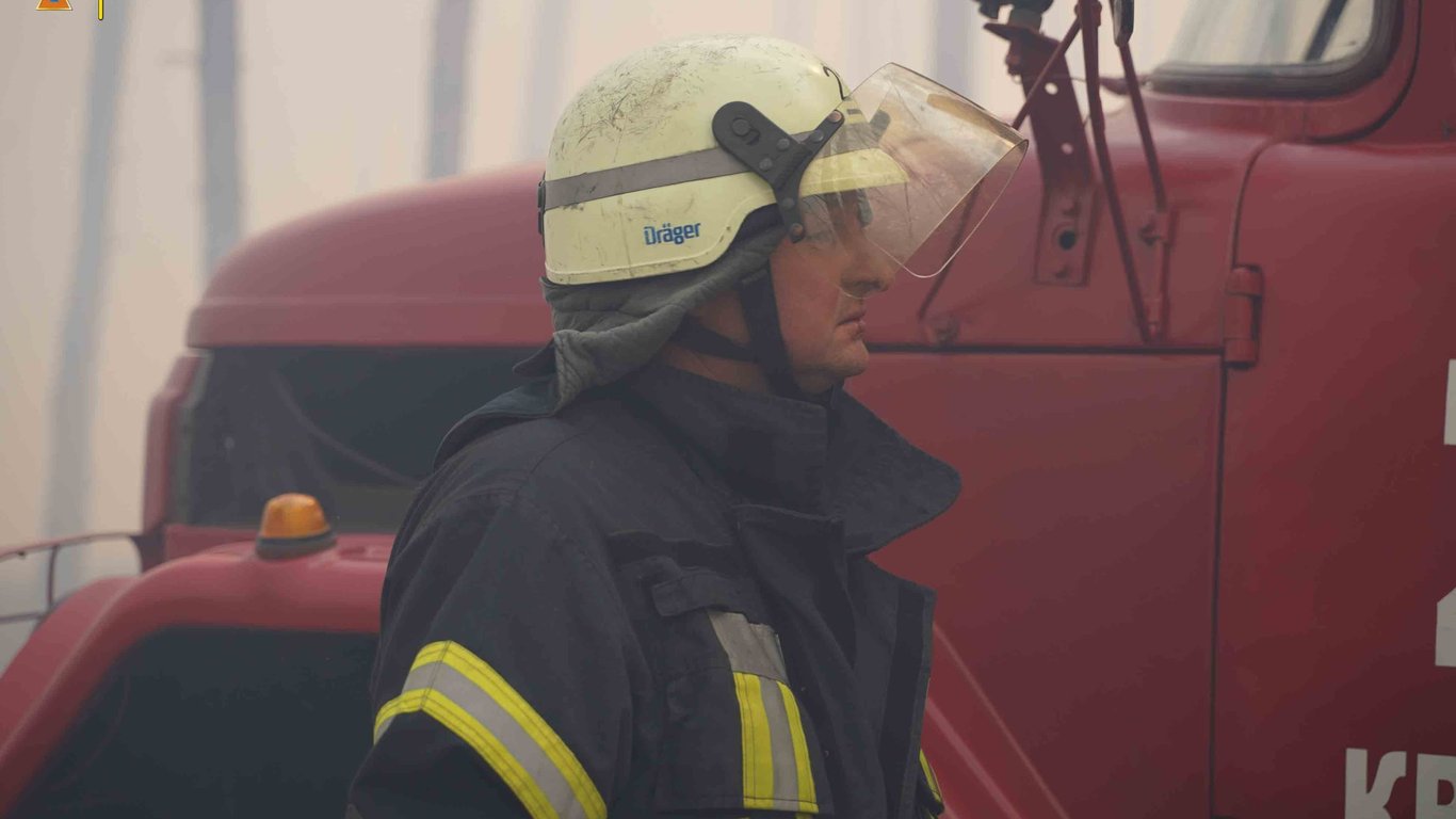 Лесной пожар в Луганской области - подробности