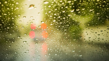 Асфальт поплив, дерево на машині і темрява: у мережі показали наслідки шквального дощу в Харкові - 285x160