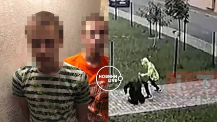 В Ровно несовершеннолетние близнецы жестоко порезали ножом женщину на улице. Видео нападения - 285x160