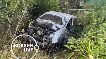 В Киеве трое мужчин выехали в кювет на Peugeot и хотели убежать: авто разбилось вдребезги. Фото - 285x160