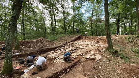 У Франції знайшли "втрачену кельтську столицю" зі скарбами, якій понад 3000 років. Фото - 285x160