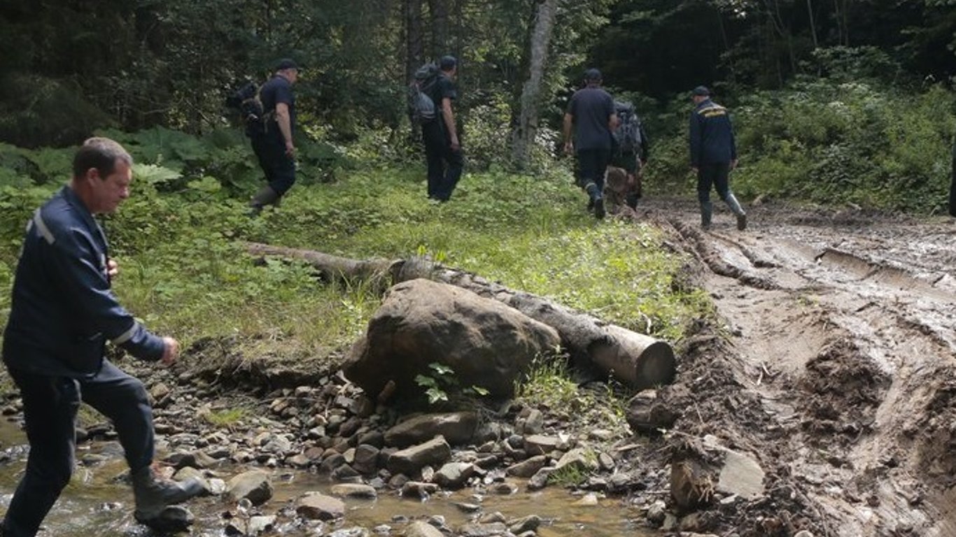 На Буковині знайшли мертвим грибника, якого шукали тиждень