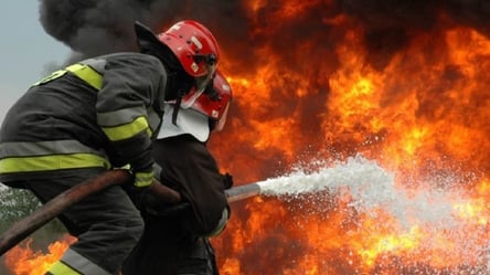 Горів наче факел: на Харківщині під час руху спалахнув легковик. Кадри - 285x160