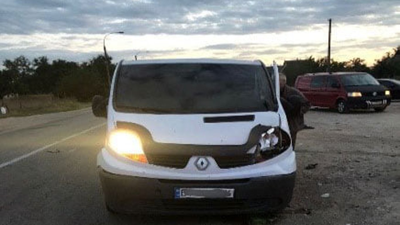 ДТП на Херсонщине 5 сентября - микроавтобус насмерть сбил мать с ребенком