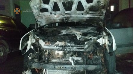 Згоріла до тла: у Харкові вночі спалахнула автівка. Кадри та подробиці - 285x160