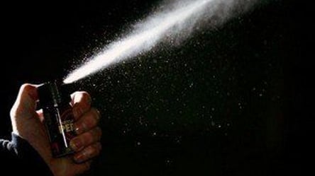 Распылил газ в глаза полицейскому: суд принял решение в отношении нападавшего на Марше равенства в Харькове - 285x160