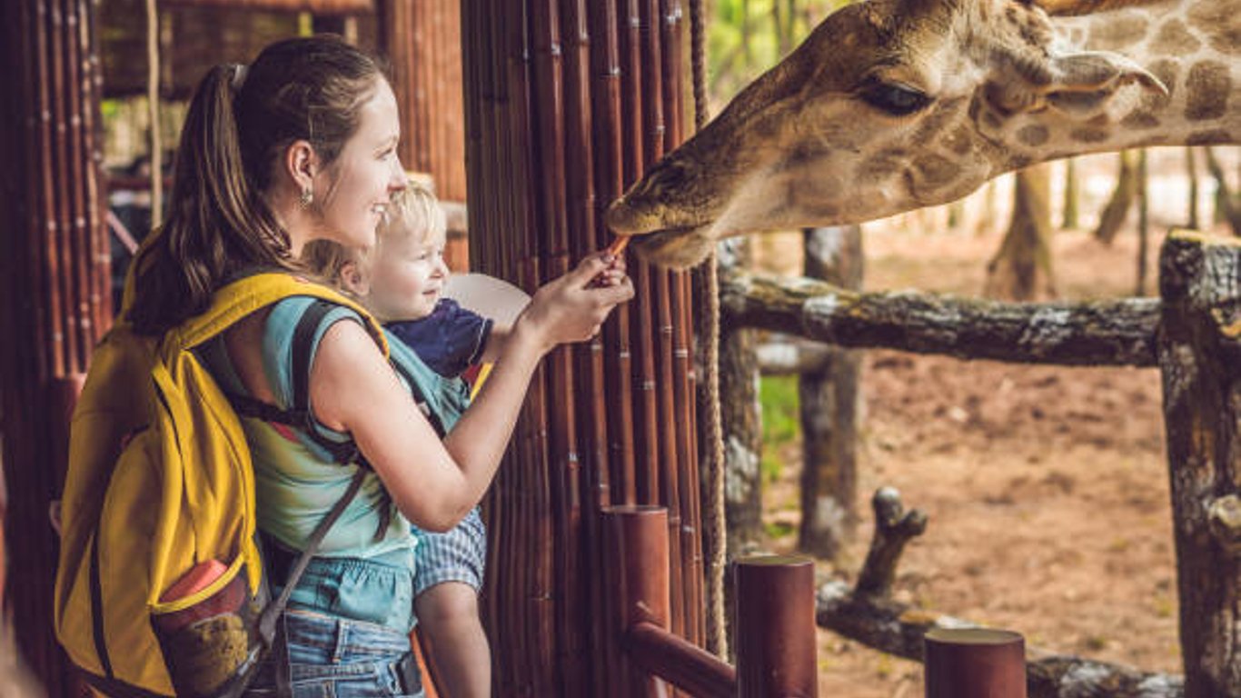 Харьковчане могут получить бесплатное приглашение в зоопарк - бесплатная экскурсия раз в месяц