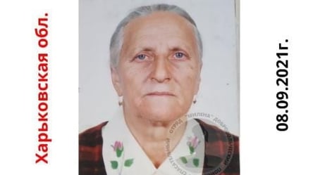 На Харьковщине вторые сутки ищут 91-летнюю Анастасию Кирпе: волонтеры просят помочь в поиске. Фото - 285x160