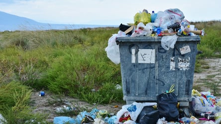 Невыносимый запах: харьковчане жалуются на несвоевременную уборку мусора в городе. Видео - 285x160
