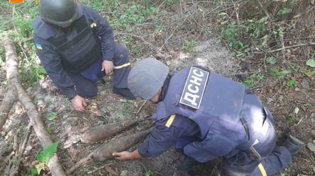 Підірвали три десятки боєприпасів: на Харківщині знайшли артснаряди, міни та гранати - 285x160
