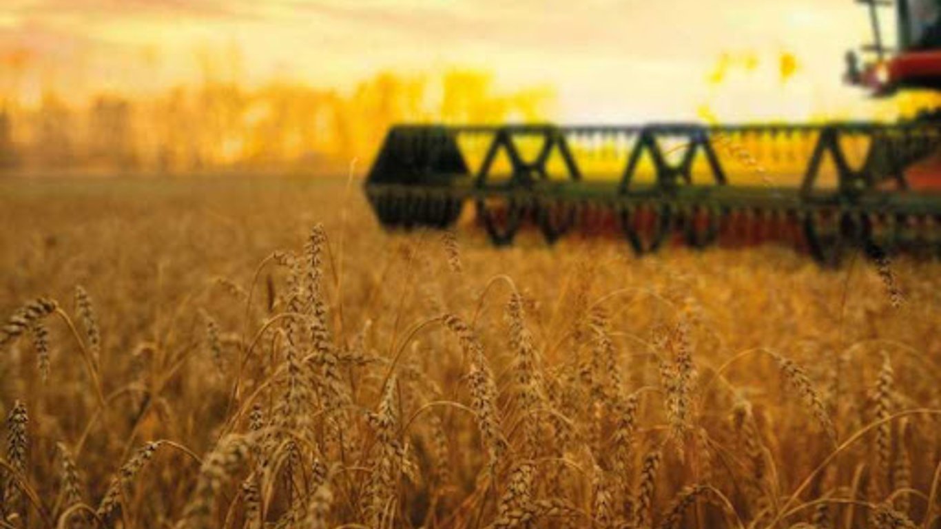 Харківщина посідає друге місце в Україні з валового виробництва зернових культур - подробиці