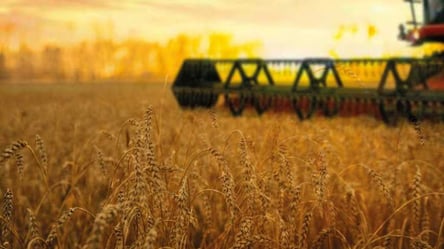 Харківщина посідає друге місце в Україні  за врожайністю зернових культур - 285x160