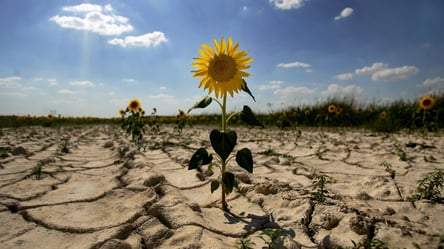 Стихійні лиха і катаклізми: вчені попередили про глобальну зміну клімату в Україні - 285x160