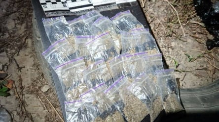 Закопували речовини в землю: поліція затримала в Харкові наркоторговців - 285x160