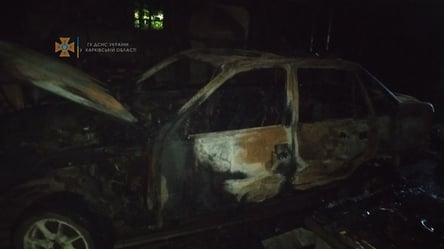 Все сгорело до тла: на Харьковщине случился серьезный пожар в гараже. Фото - 285x160